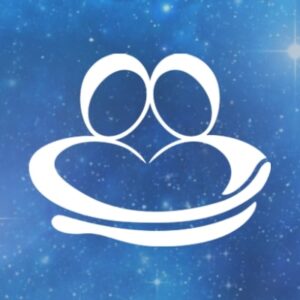 Soul Midwives School Logo