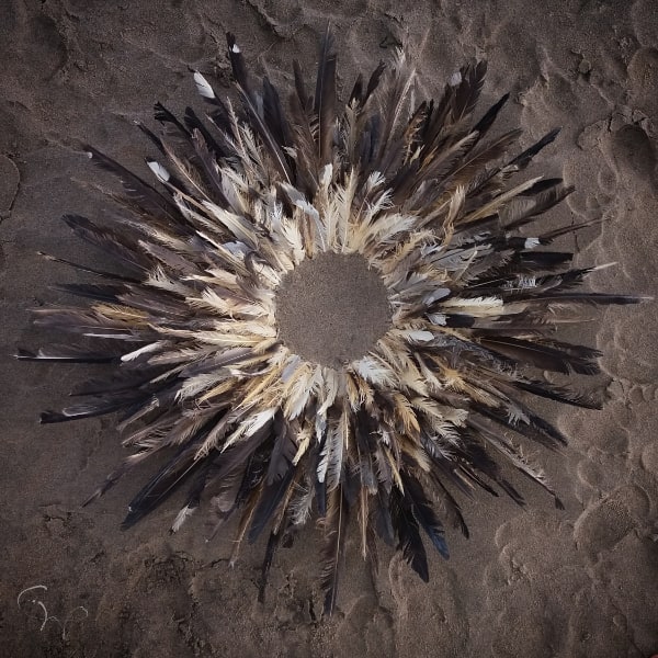 Circle of feathers - Soul Midwives Scotland