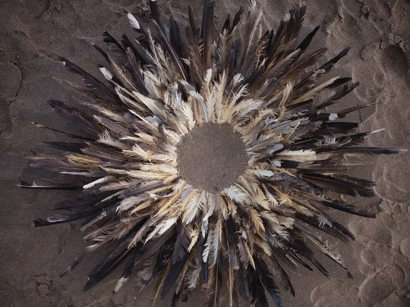 Circle of feathers - Soul Midwives Scotland