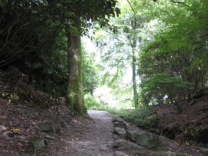 Pathway - Soul Midwives Scotland