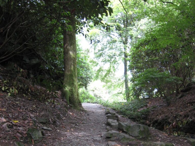Pathway - Soul Midwives Scotland